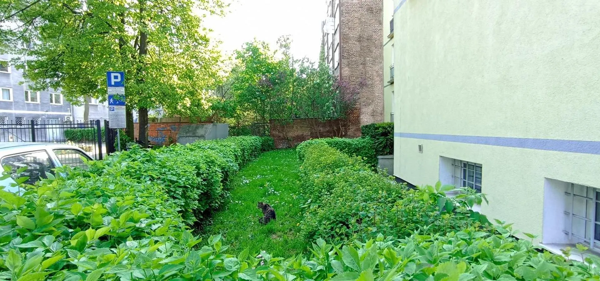 Katarzynka Gdansk Stare Miasto Apartment